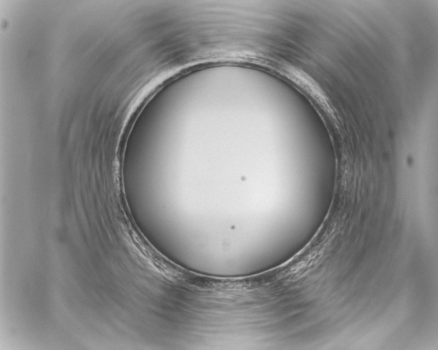 X0000057061332200510071356