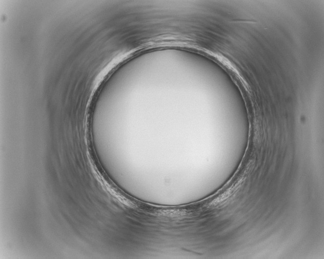 X0000057061333200510071357