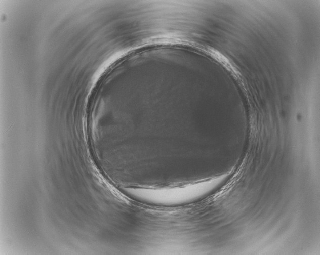 X0000057061334200510071357