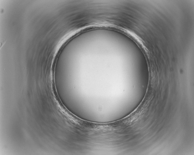 X0000057061335200510071357