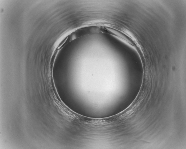 X0000057061336200510071357