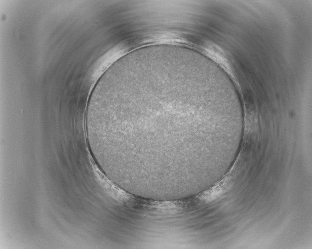 X0000057061338200510071357