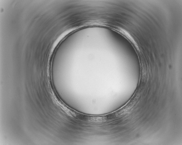 X0000057061339200510071357