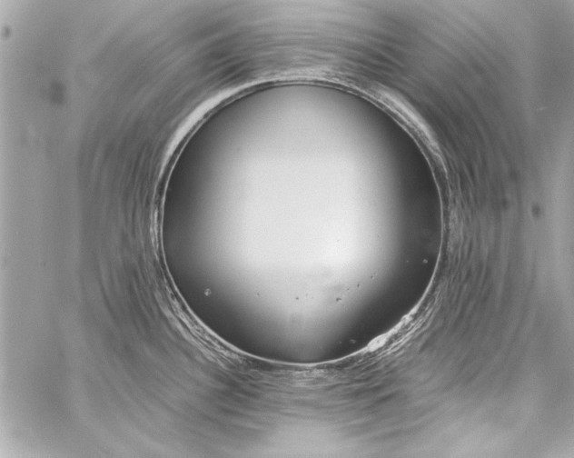 X0000057061340200510071357