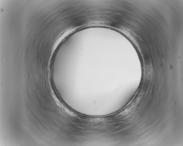 X0000057061341200510071357