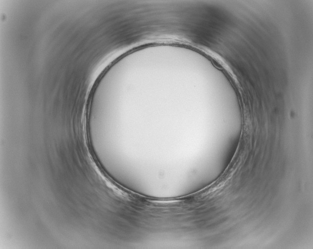 X0000057061343200510071357