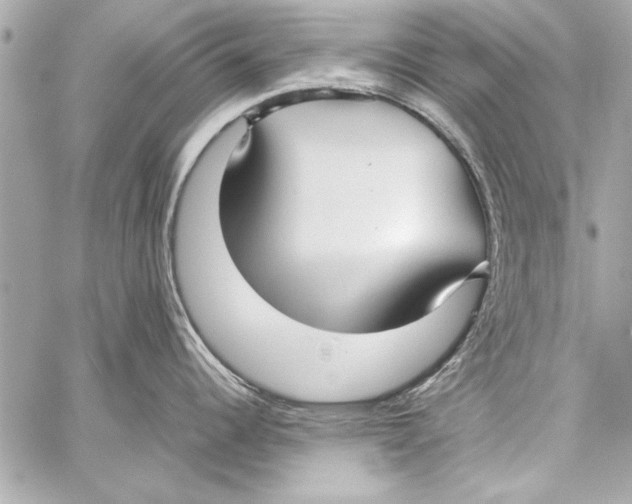 X0000057061344200510071357