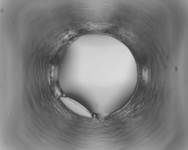 X0000057061348200510071356