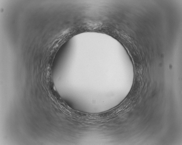 X0000057061349200510071356