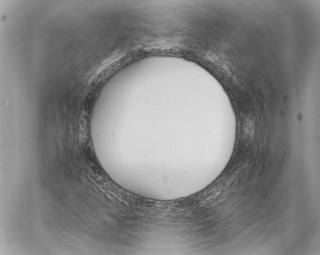 X0000057061350200510071356