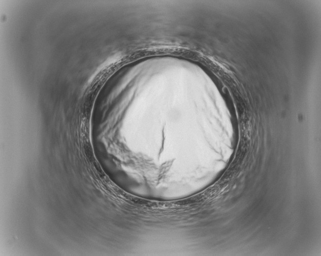 X0000057061351200510071356