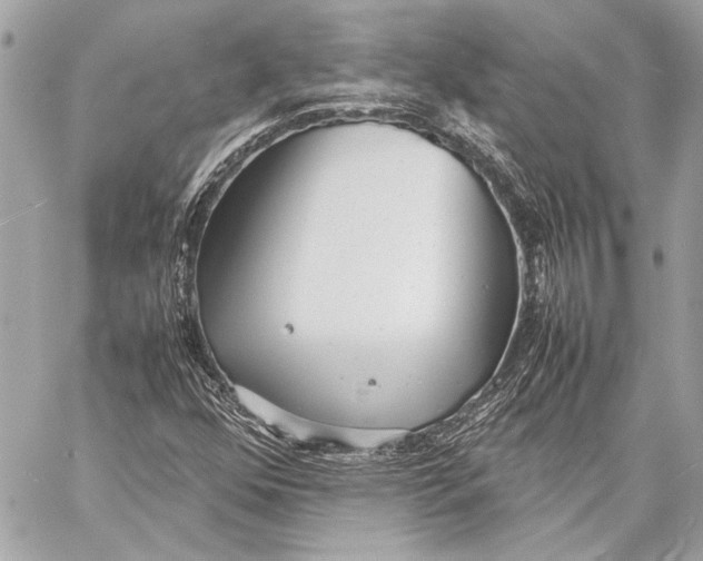 X0000057061352200510071356