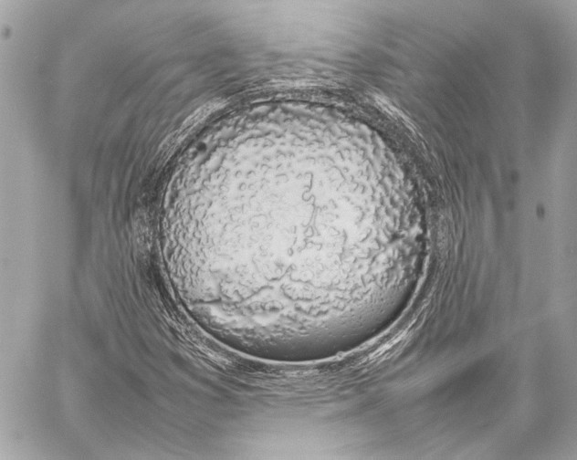 X0000057061353200510071356