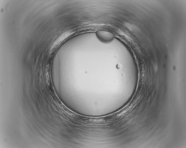 X0000057061354200510071356