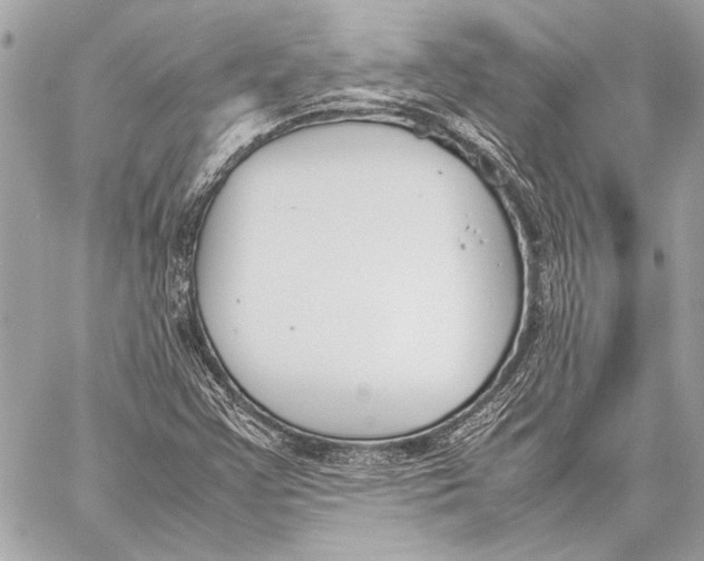 X0000057061355200510071356