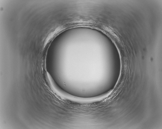 X0000057061357200510071356