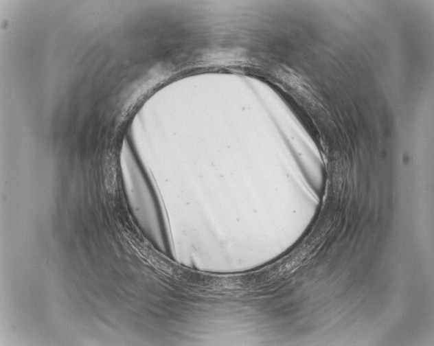 X0000057061358200510071356