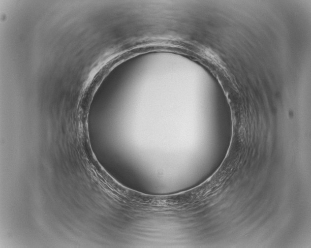 X0000057061360200510071356