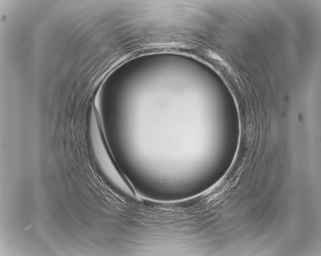 X0000057061361200510071356