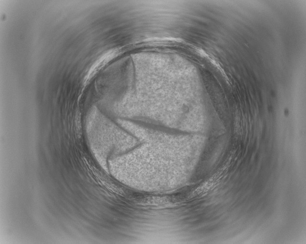 X0000057061362200510071356