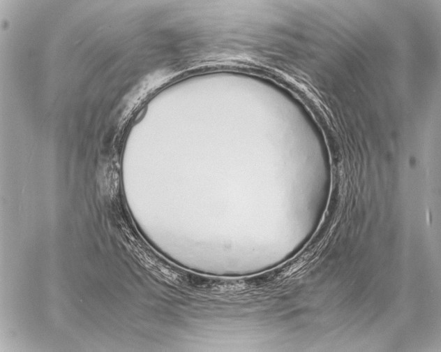 X0000057061363200510071356