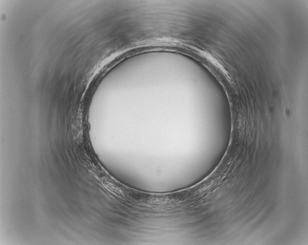 X0000057061364200510071356