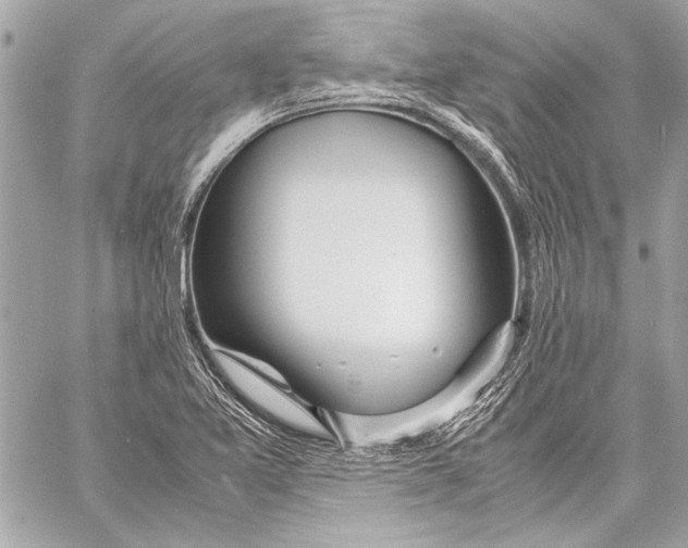 X0000057061365200510071356