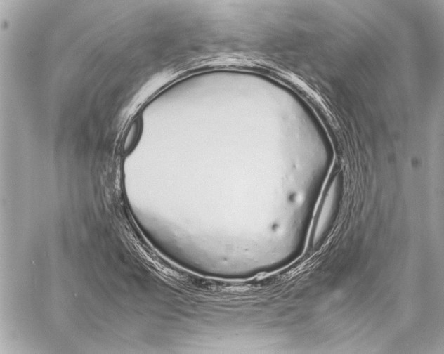 X0000057061367200510071356