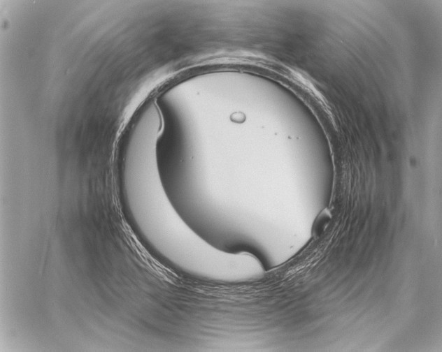 X0000057061368200510071356