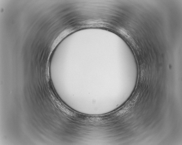 X0000057061370200510071355