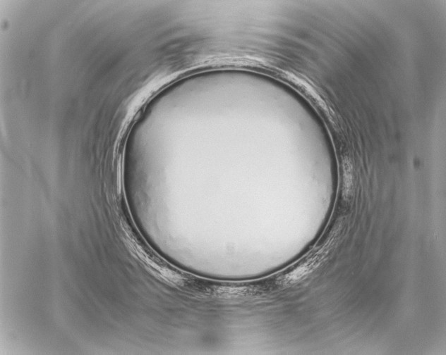 X0000057061371200510071355