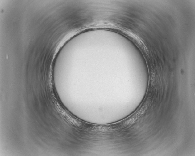 X0000057061374200510071355