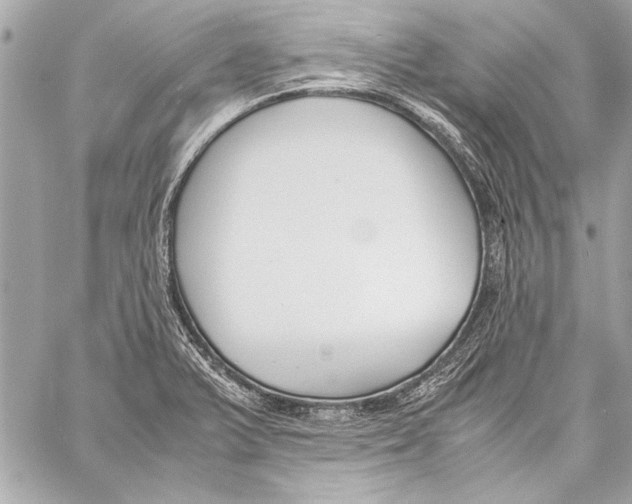 X0000057061375200510071355