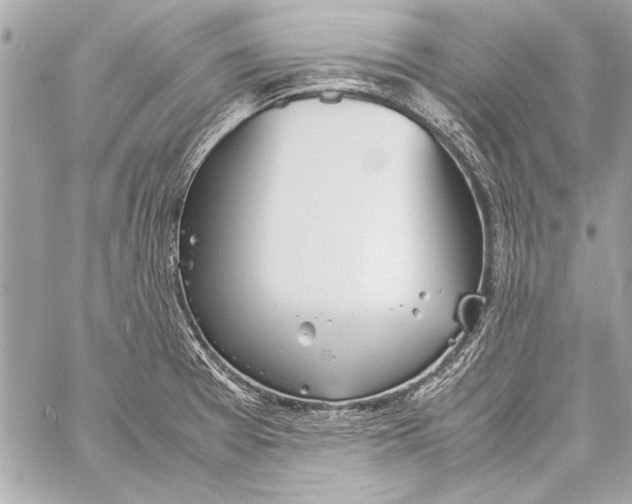 X0000057061377200510071355