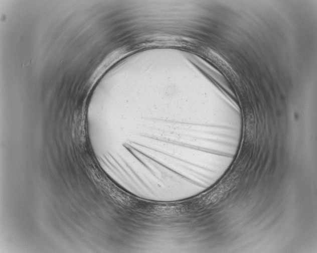 X0000057061378200510071355