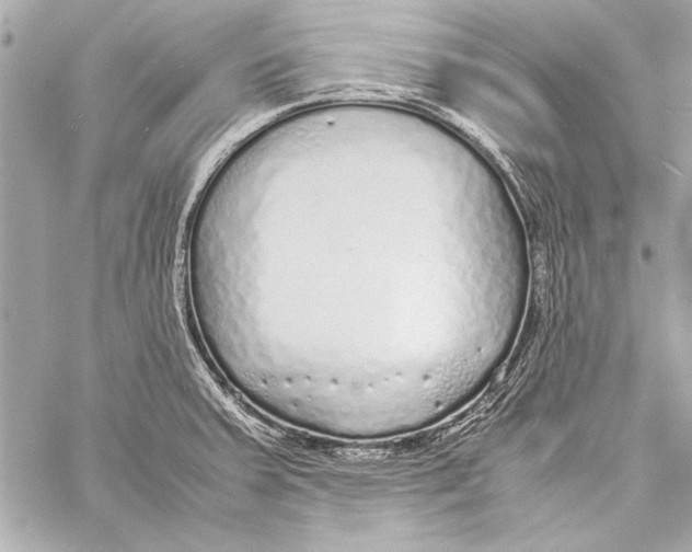 X0000057061379200510071355