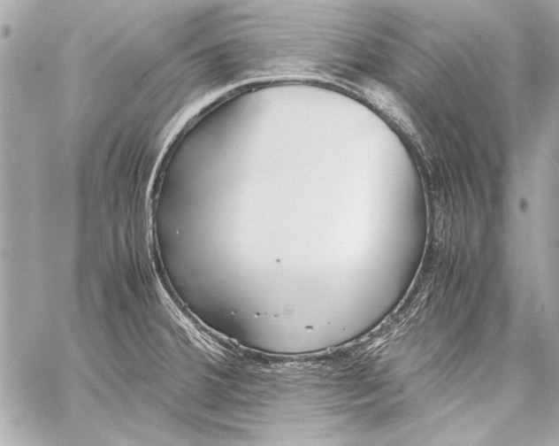 X0000057061380200510071355