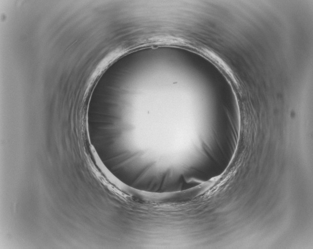 X0000057061381200510071355