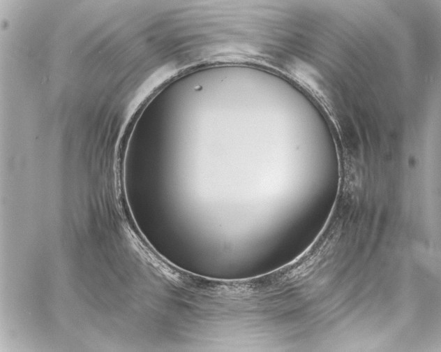 X0000057061384200510071355