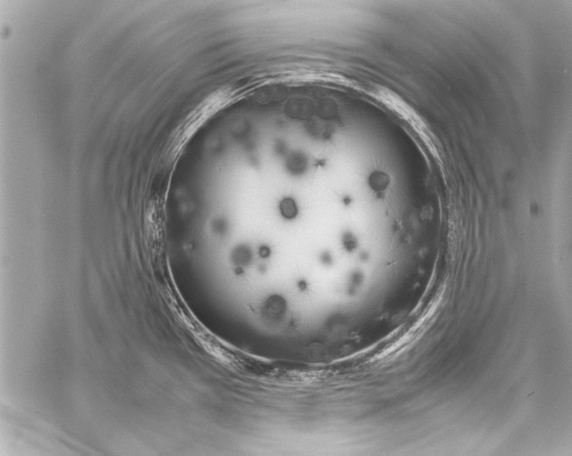 X0000057061385200510071355