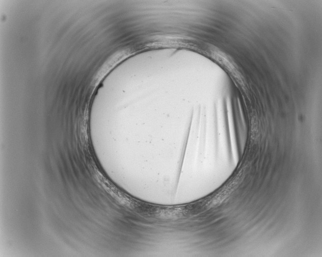 X0000057061386200510071355