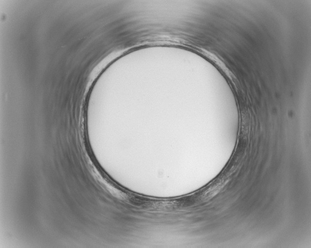 X0000057061387200510071355