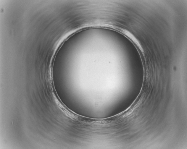 X0000057061388200510071355