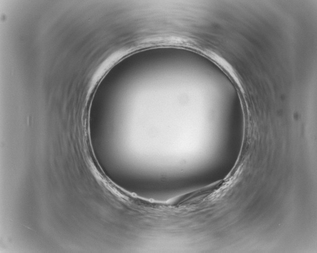 X0000057061389200510071355