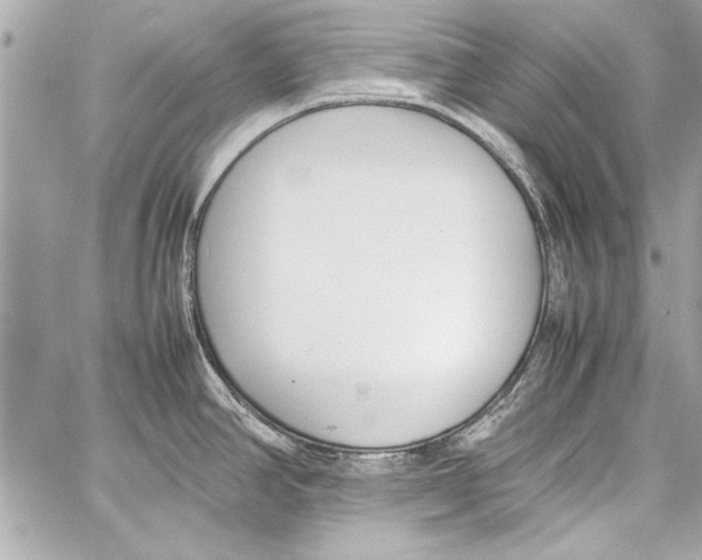 X0000057061390200510071355