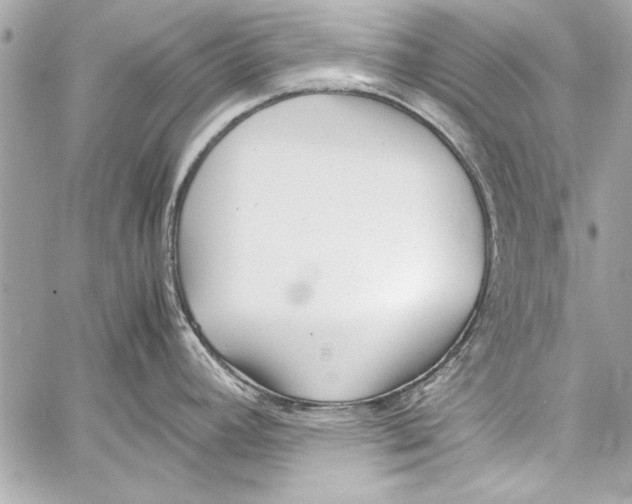 X0000057061392200510071355