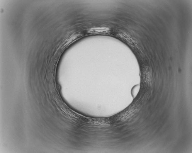 X0000057061393200510071354