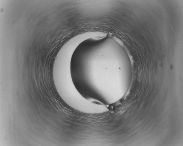 X0000057061394200510071354