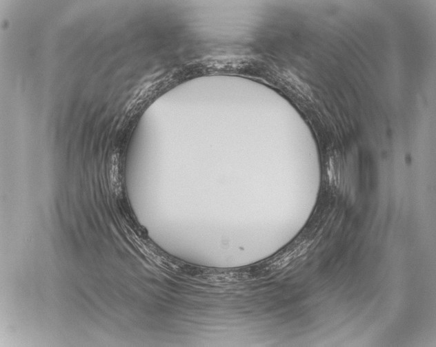 X0000057061396200510071354