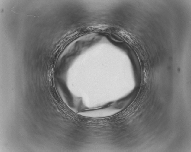 X0000057061397200510071354